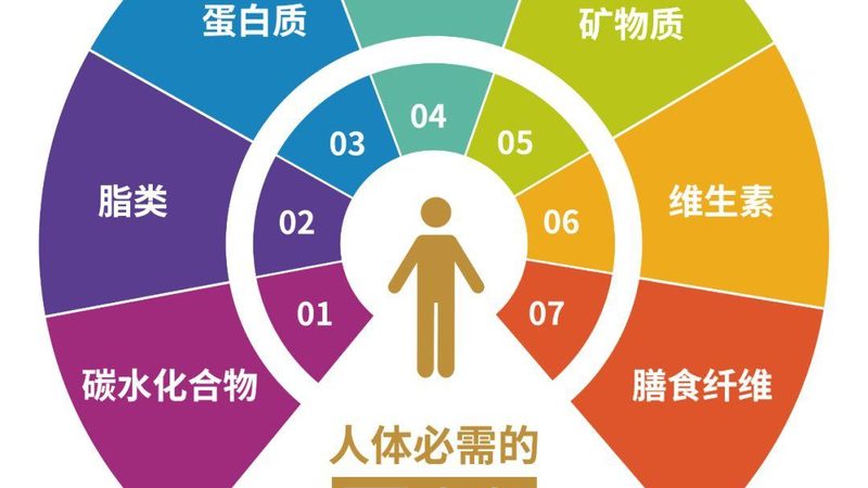 小标题：OEM保健食品物流概述